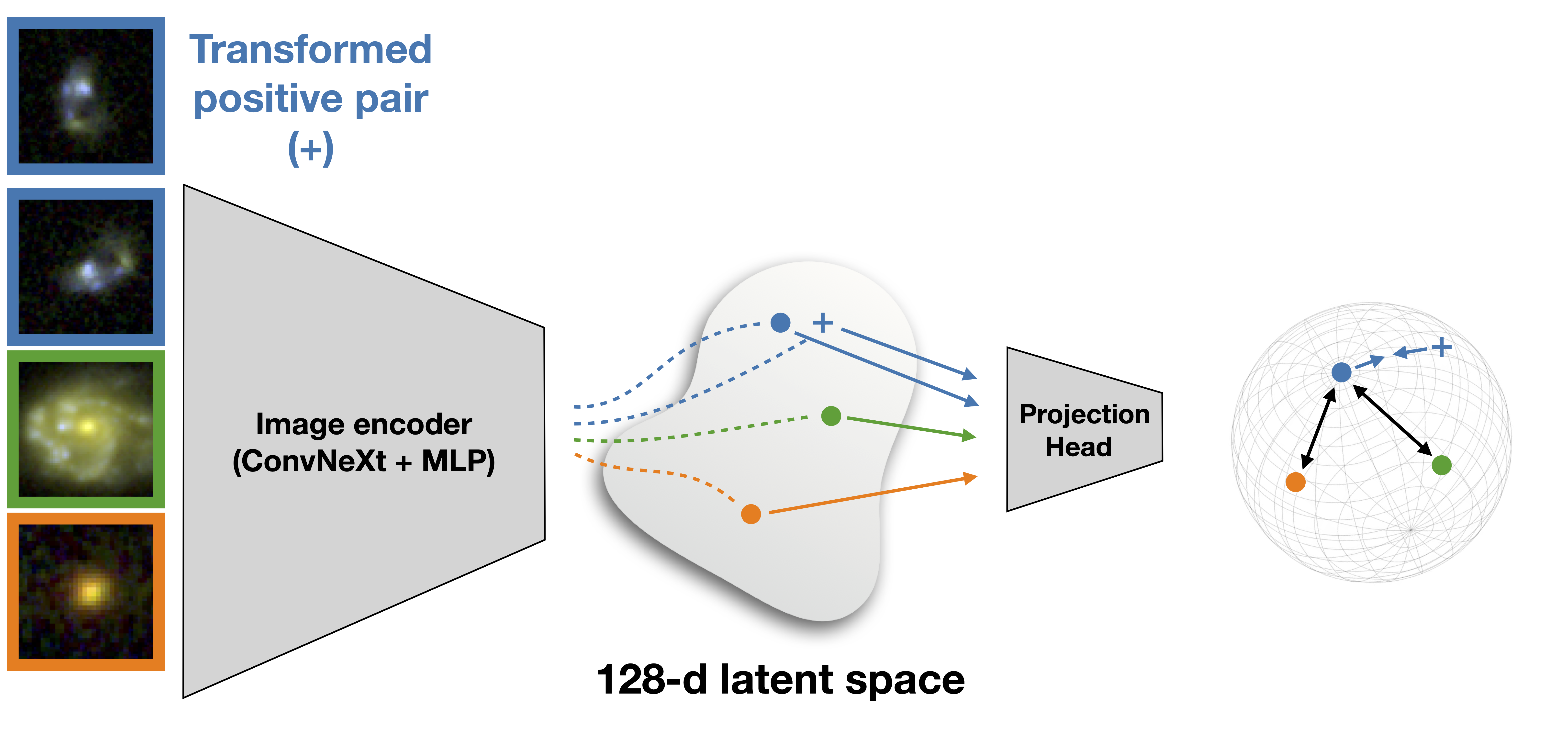 self-supervised arch