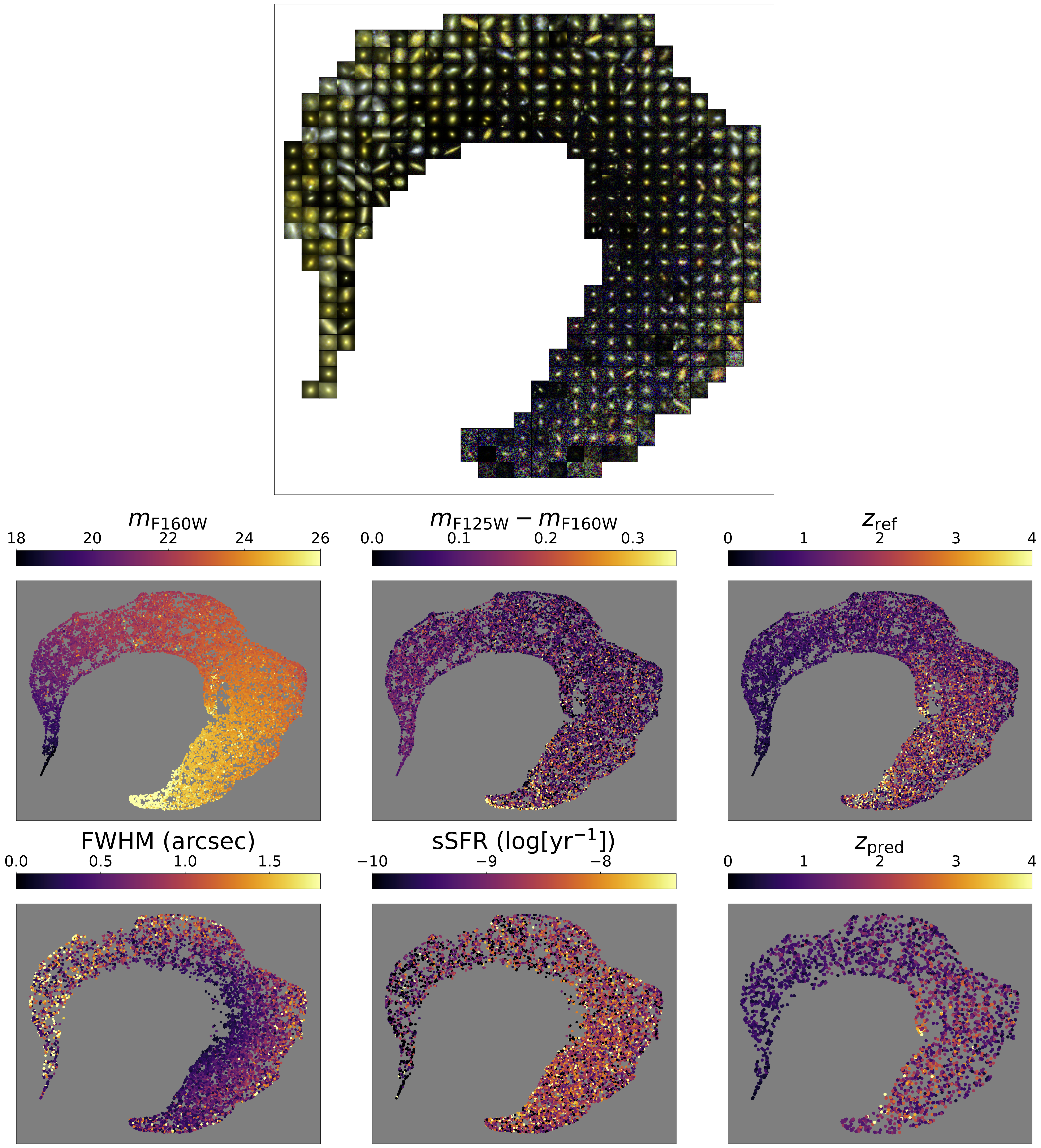 self-supervised umap